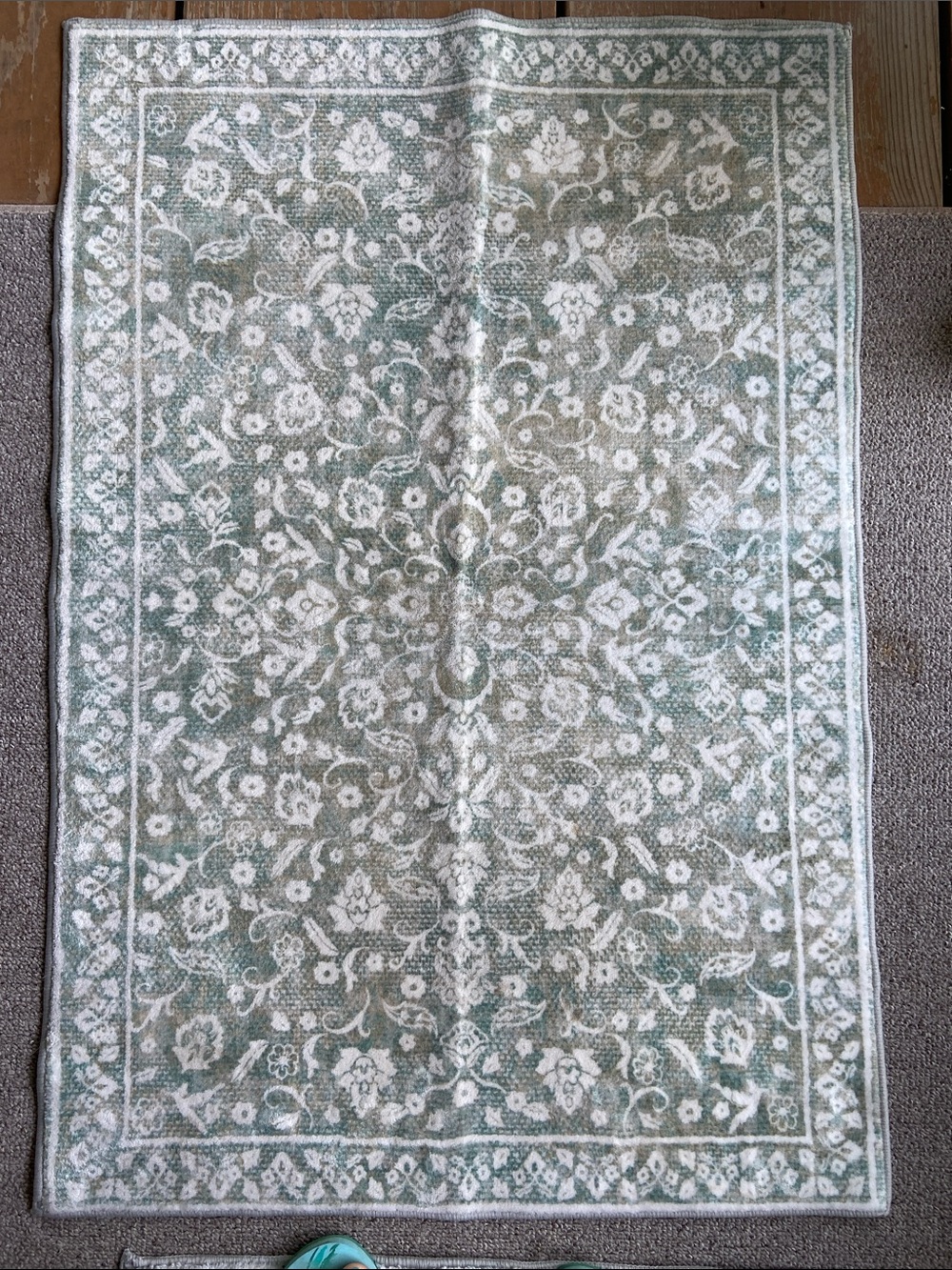 Vintage-Style Floral Area Rug in Sage and Cream